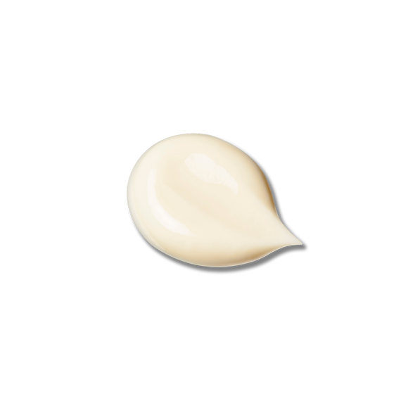PROTECTIVE FORTIFYING CREAM N